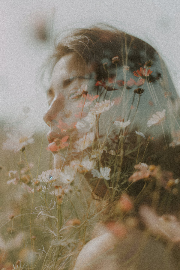 the natural chill pill: adaptogens & soothing herbs for stress-free living