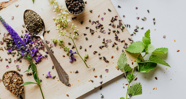 How Lemon Balm Can Soothe Your System & Your Soul